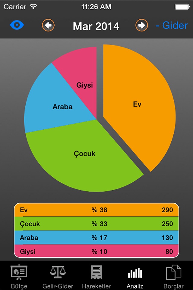 iBütçe screenshot 4