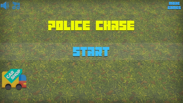 Police Chase 2020