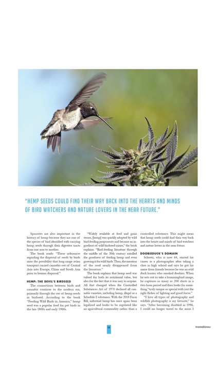 Cannabis Now screenshot-4
