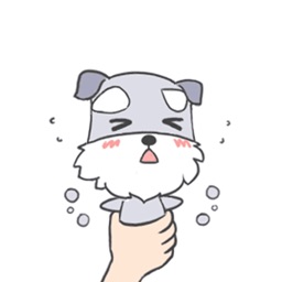 DailyLifeLovelySchnauzer