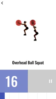 stability ball workout iphone screenshot 3
