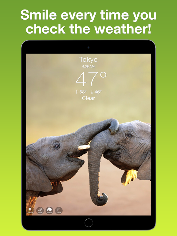 Screenshot #4 pour Wildlife Wallpaper Weather