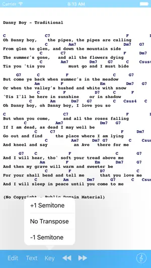 Songbook Simple screenshot 3