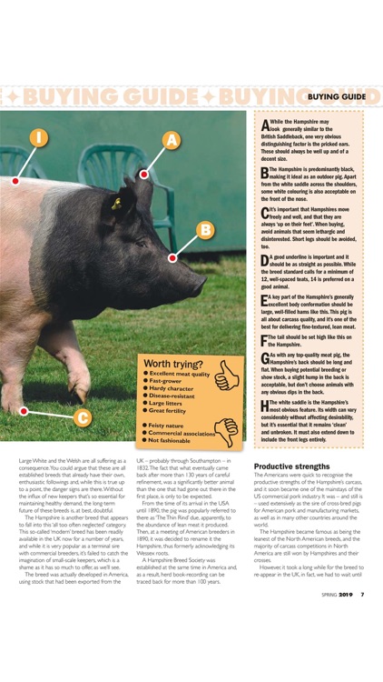 Practical Pigs Magazine screenshot-6