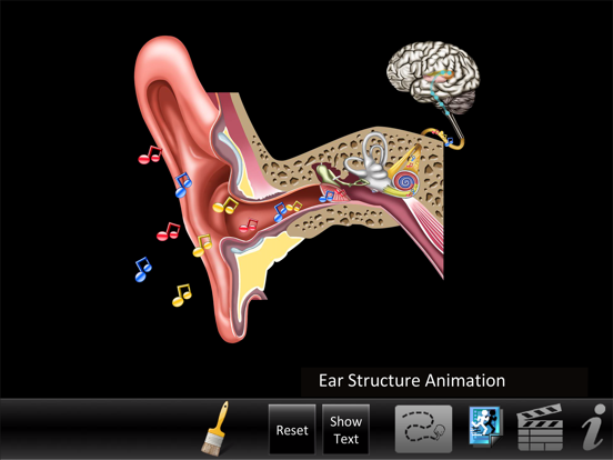 Screenshot #4 pour Ear ID