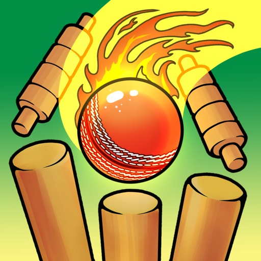 Real Cricket Bowling Practice Icon