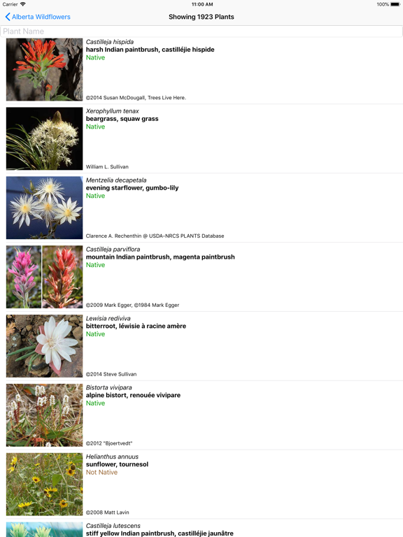 Screenshot #5 pour Alberta Wildflowers