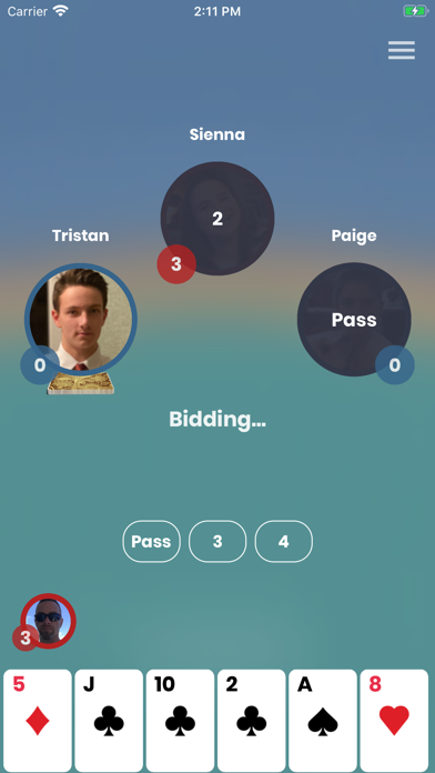 iPitch Screenshot