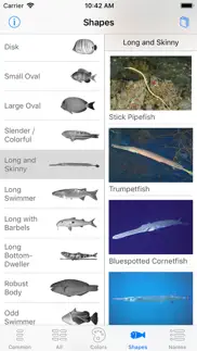 deep blue divers fish guide iphone screenshot 4