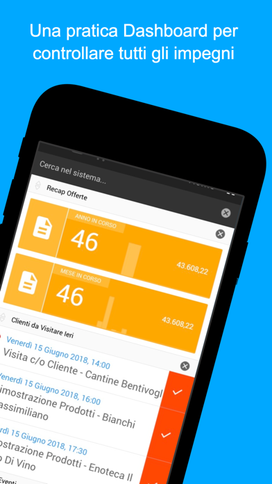 Goose - Ordini Vendita Screenshot