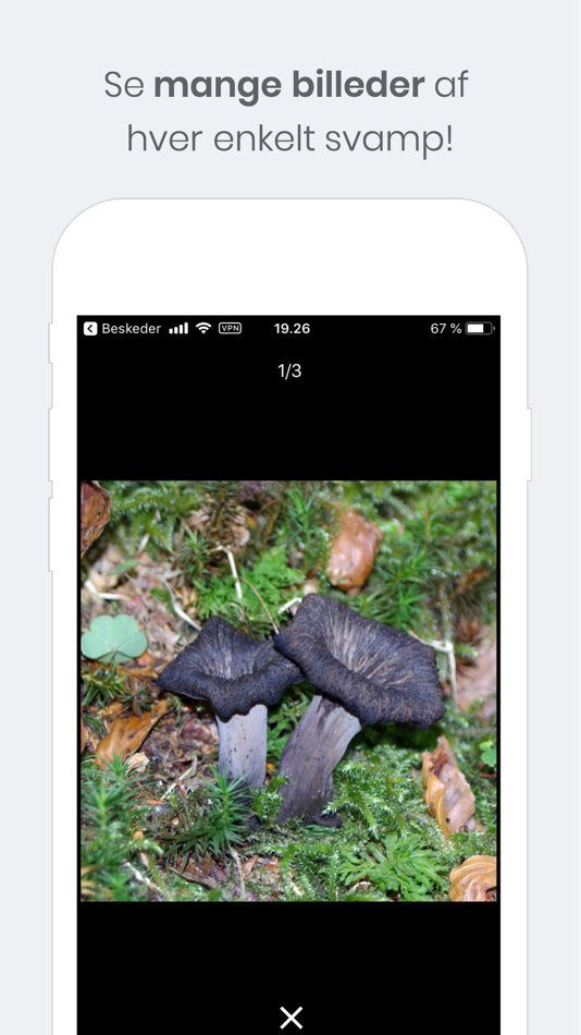 #8. Shroomi - Danske Svampe (iOS) 由: Kristoffer Andreasen