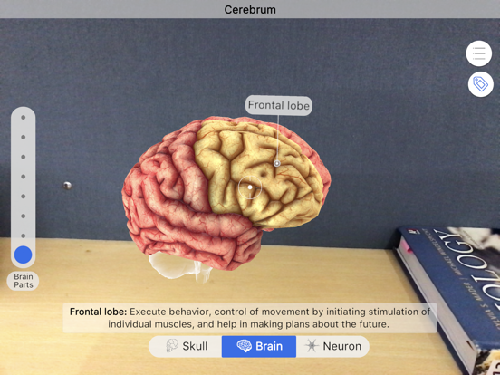 Brainapse iPad app afbeelding 3