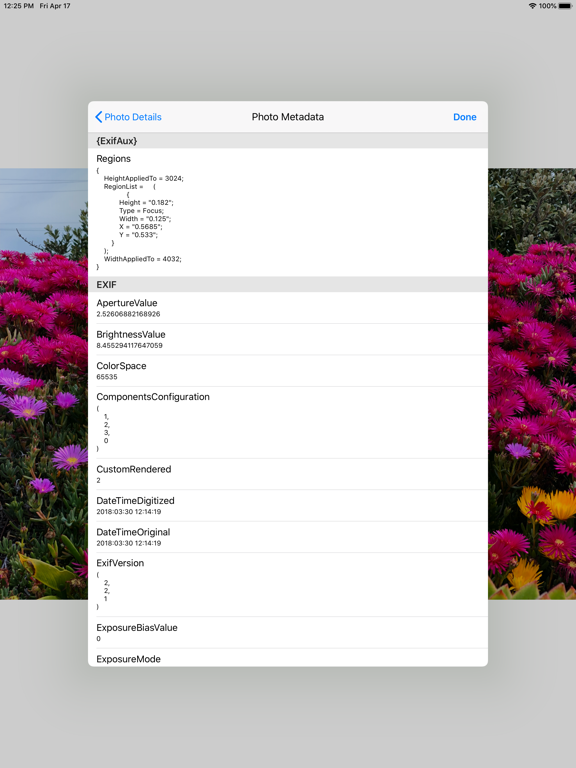 Photowerks: Smart Albums iPad screenshot 5 - Photo & Video app