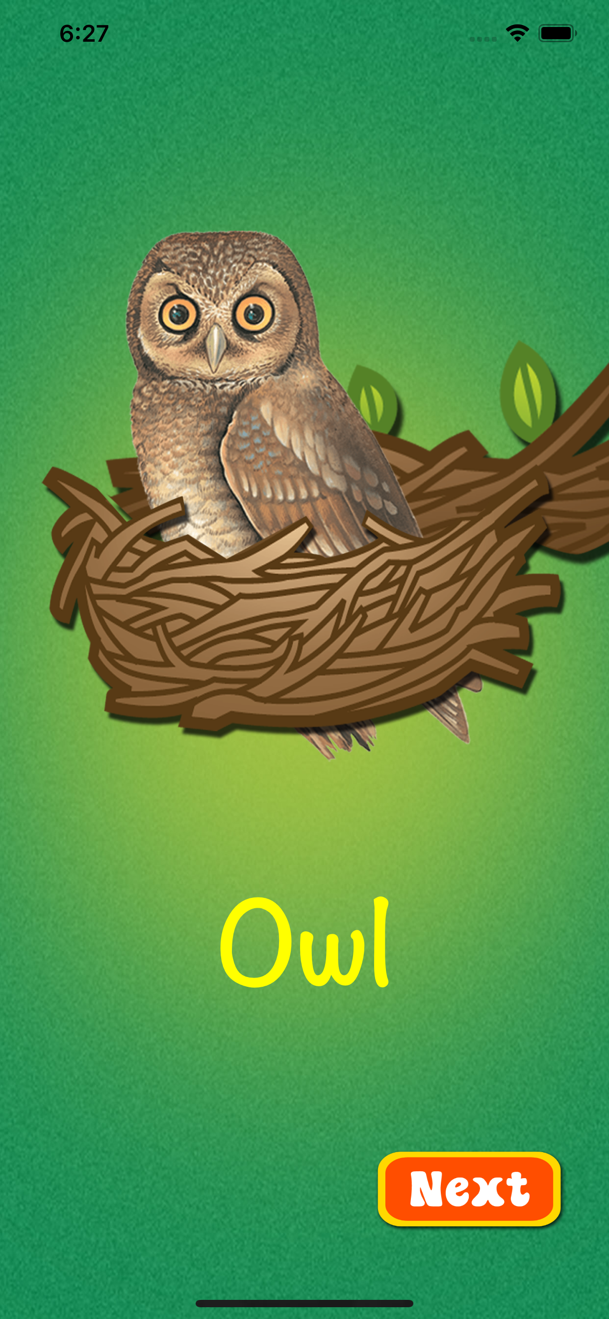 Learn about Birds