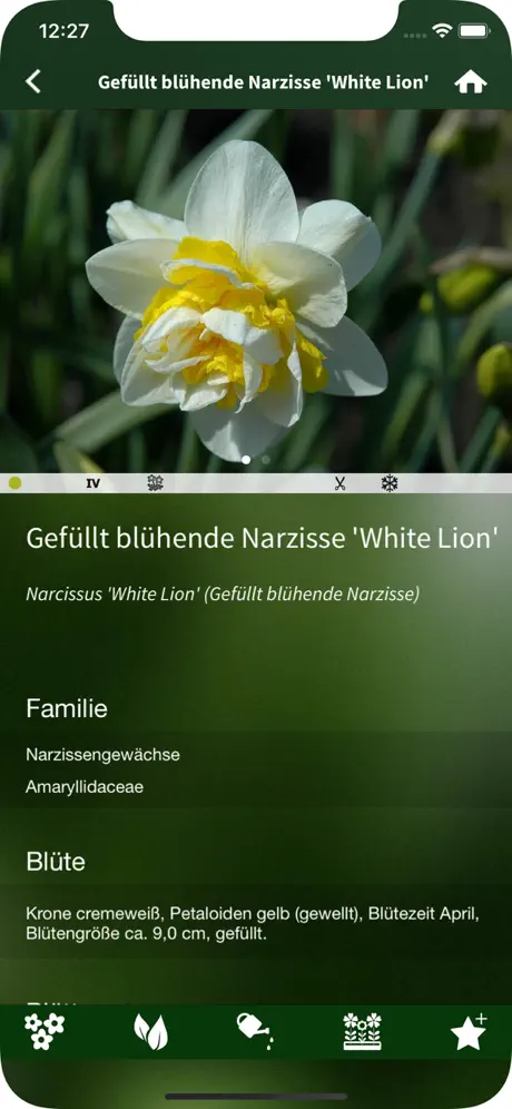 Der Pflanzen-Profi