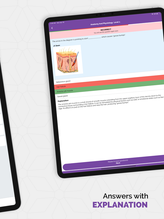 MBLEx Practice Tests iPad screenshot 2 - Entertainment app