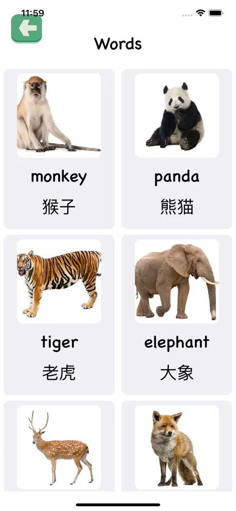 Flashcards 2/3 years toddlers