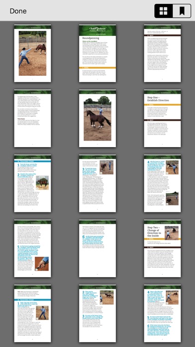 Downunder Horsemanship Screenshot