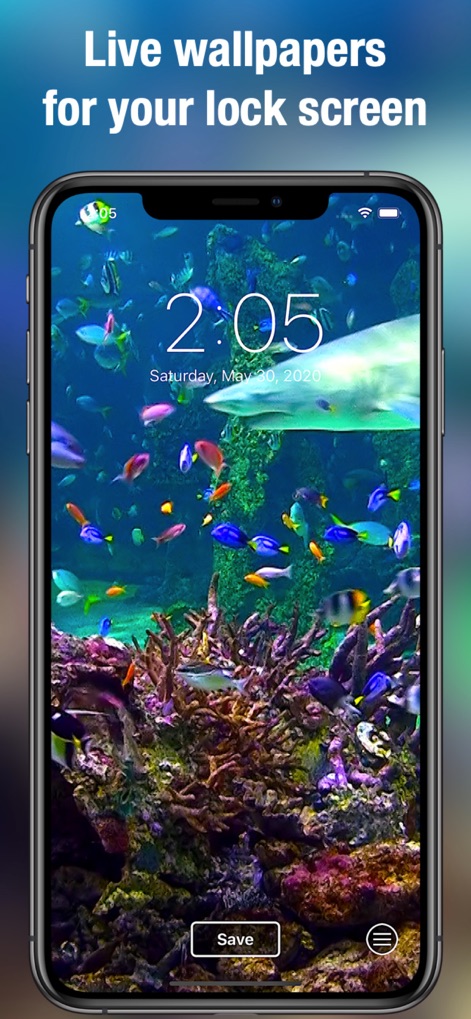 Aquarium Dynamic Wallpapers - 이 스크린샷은 다채로운 열대어와 위풍당당한 상어가 어우러진 활기찬 수중 생태계를 잠금 화면에 담아 사용자에게 몰입감 넘치는 시각적 경험을 제공합니다.