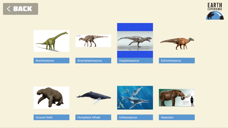 Earth Experience AR screenshot-3