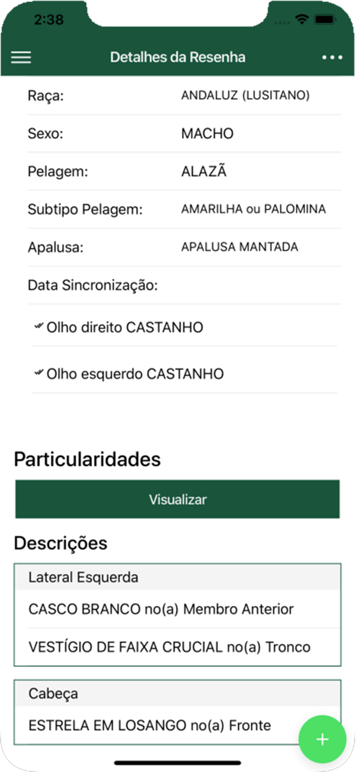 Resenha Virtual