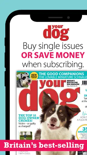 Your Dog screenshot 1