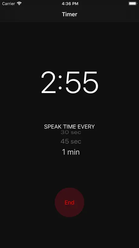Plank Stopwatch Timer