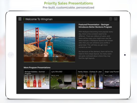 Screenshot #4 pour Wingman by Groove