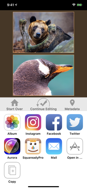 LineUpper for Instagram(圖3)-速報App