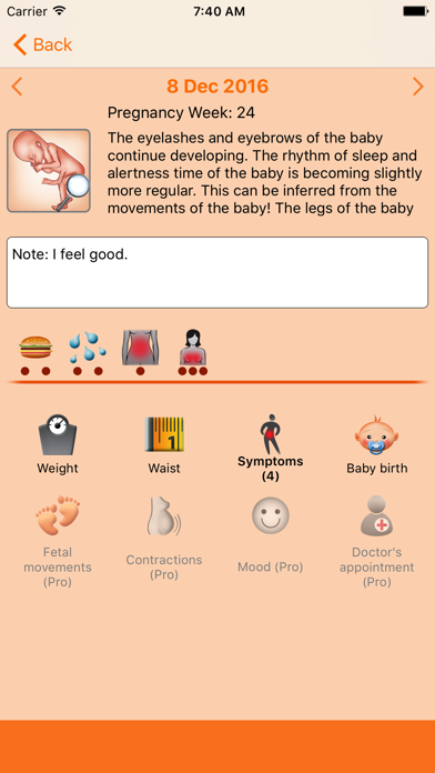 WomanLog Pregnancy Calendar Screenshot