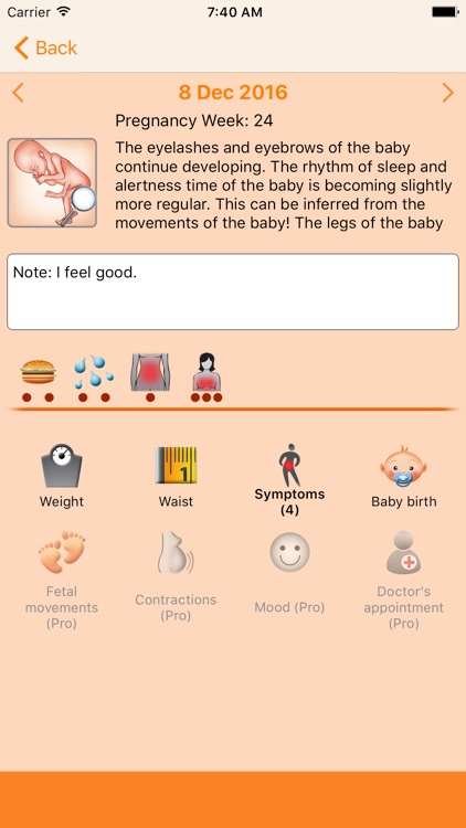 WomanLog Pregnancy Calendar