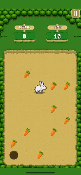 Game screenshot Race for the Veggies hack