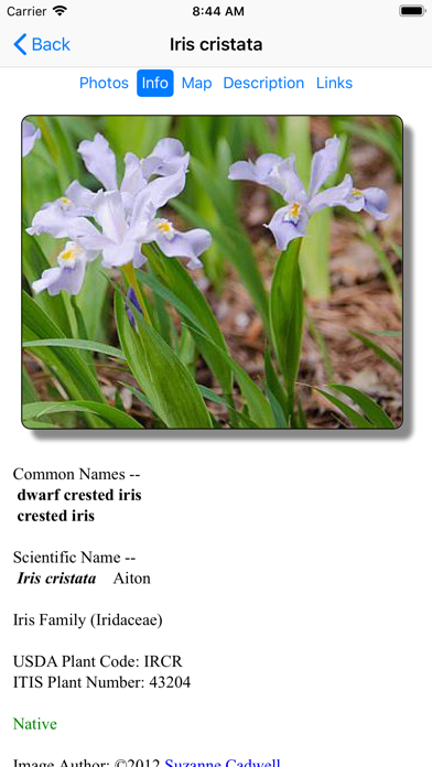 Screenshot #3 pour Tennessee Wildflowers