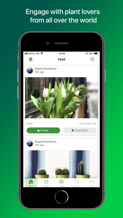PlantSnap Plant Identification