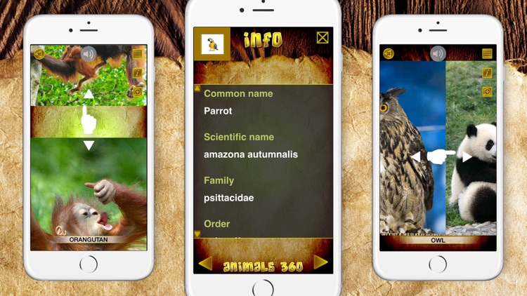 Animals 360 Gold screenshot-3
