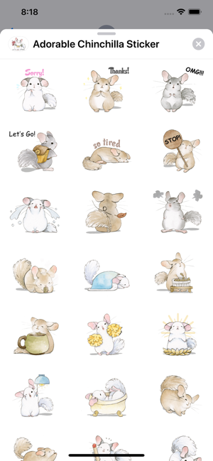 Adorable Chinchilla Sticker(圖3)-速報App