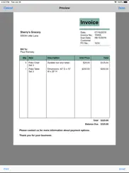 express invoice invoicing ipad bildschirmfoto 4