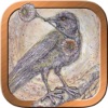 Spiritsong Tarot icon