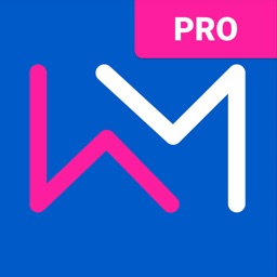 Wealth Me Pro: พีระมิดการเงิน