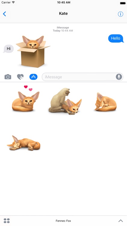 Fennec Fox screenshot-4