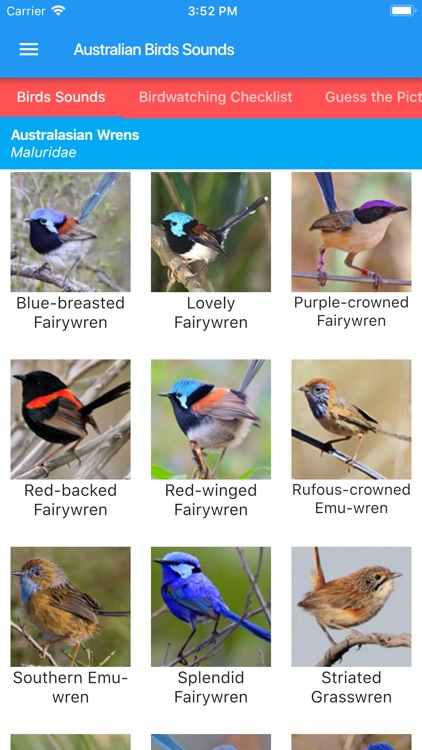 Australian Birds and Sounds