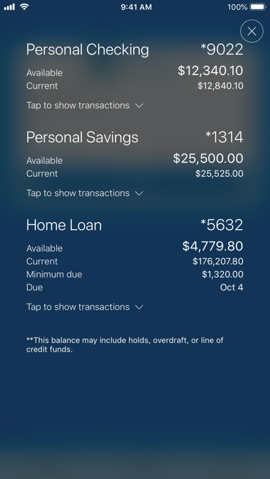 Cambridge Savings Bank Screenshot