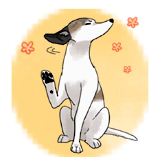 Cute Whippet Dog Sticker icon