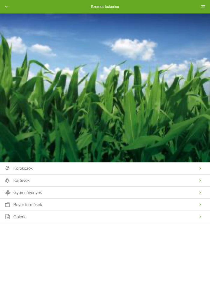 GazdaInfo Bayer Termékkat.