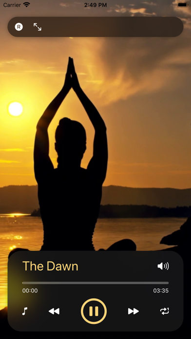 Screenshot #2 pour Méditation zazen musique