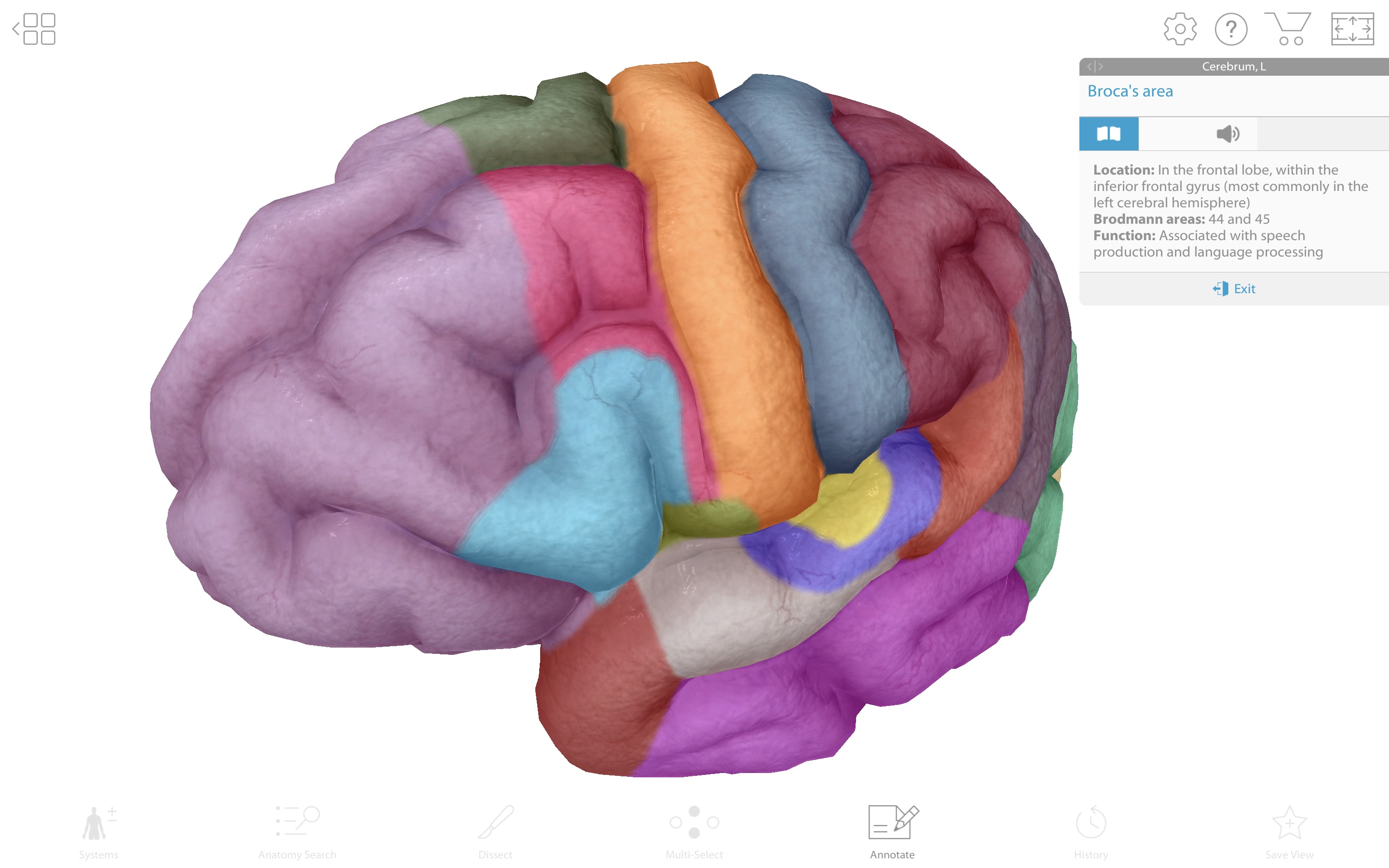Screenshot do app Human Anatomy Atlas 2019