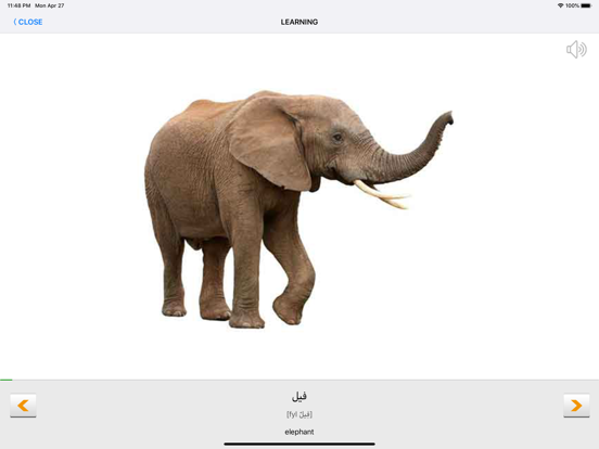 Learn Arabic words with ST iPad screenshot 3 - Education app