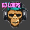 DJ Pads Loop Music Maker