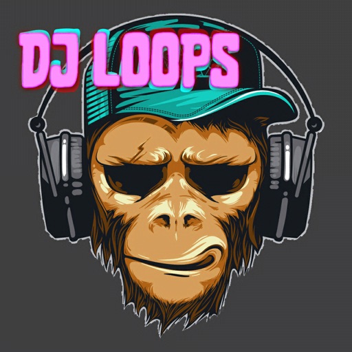 DJ Pads Loop Music Maker iOS App