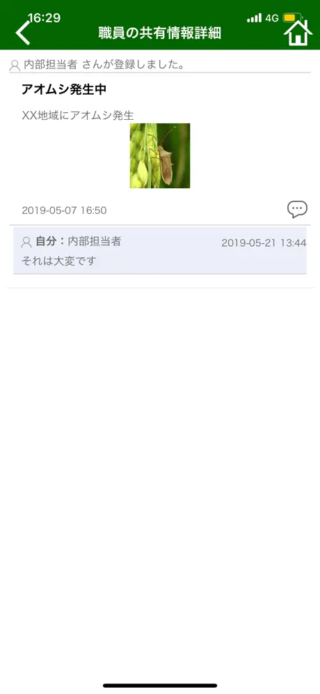 あい作栽培管理